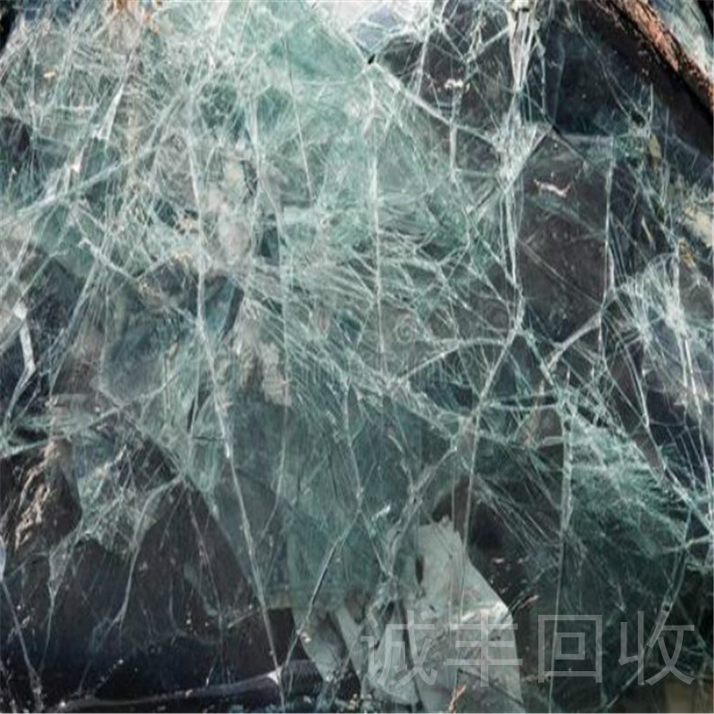 91视频免费网址