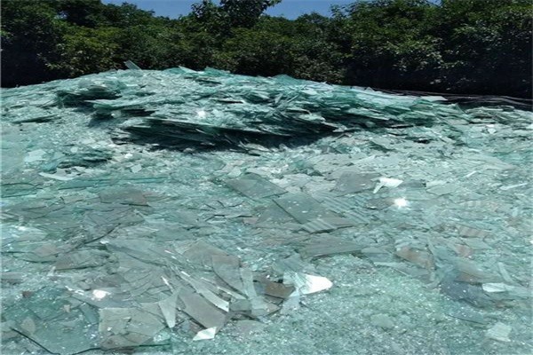青海91视频免费版下载