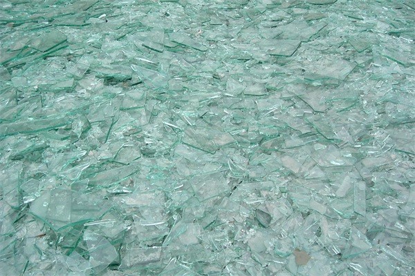 青海91视频免费版下载