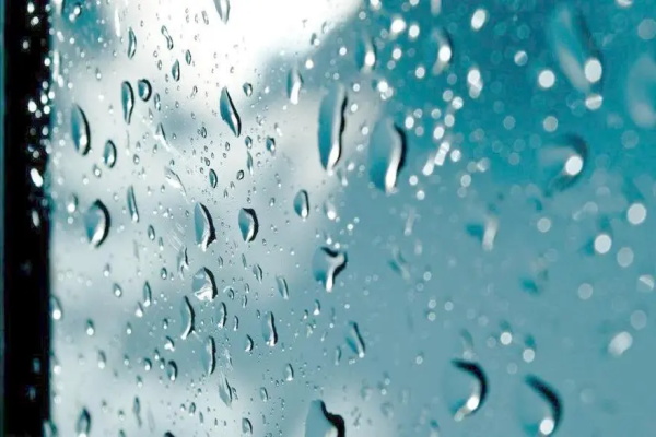 甘肅91视频免费版下载